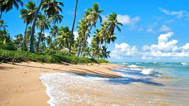PRAIA DO FORTE & SALVADOR 11 NOCHES - ENERO 2027