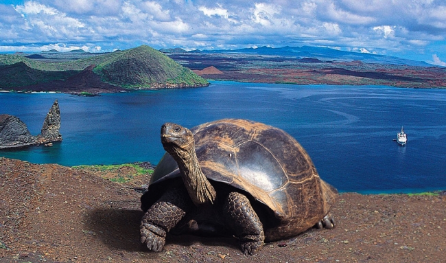 ANDES & GALAPAGOS 2027