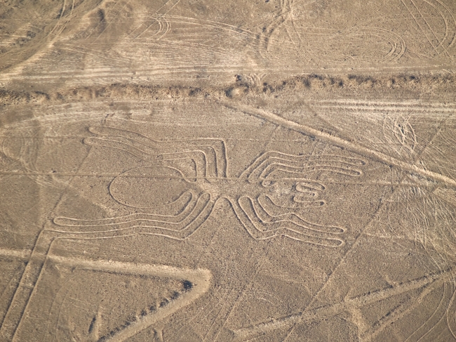 BALLESTAS Y LINEAS DE NAZCA (EXTENSIN) 2025