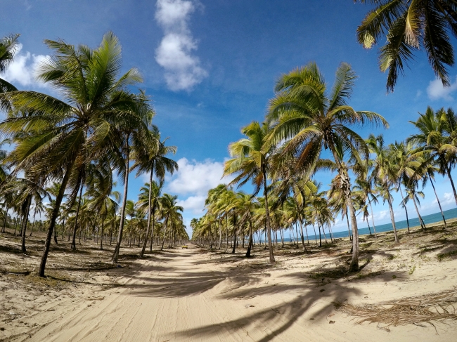 PORTO DE GALINHAS- BAJA 2024