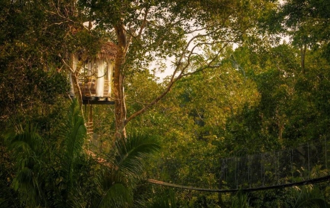 TREE HOUSE LODGE (EXTENSI�N) 2026