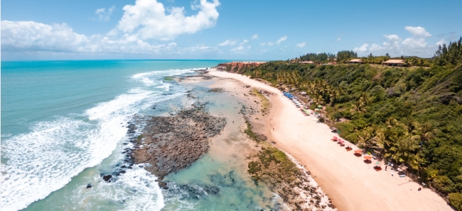 PIPA 06 NOCHES - MARZO 2026