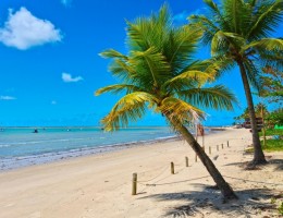 PORTO SEGURO 07 NOCHES - MARZO 2026