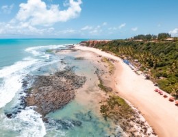 PIPA 06 NOCHES - MARZO 2026